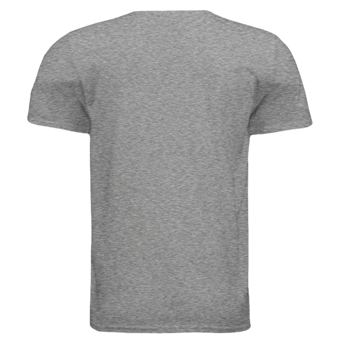 SwainfishLogo2 fishing graphic T-shirt in graphite heather, back view